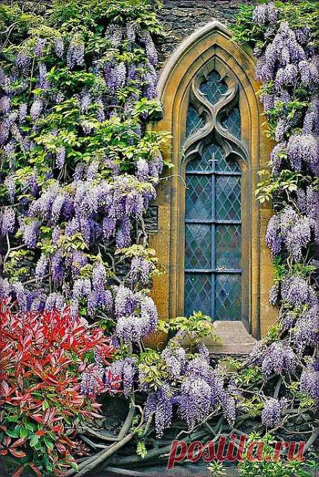 Wisteria Window | Amazing Pictures - Amazing Pictures, Images, Photography from Travels All Aronud the World