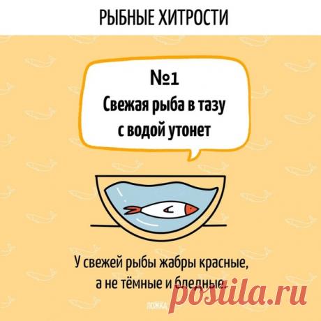 это обязательно знать каждой хозяйке: