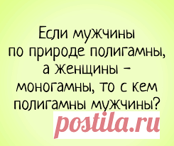 Юмор