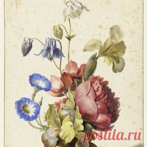 Flowers in a Bottle, Dirck de Bray, 1674 - Rijksmuseum