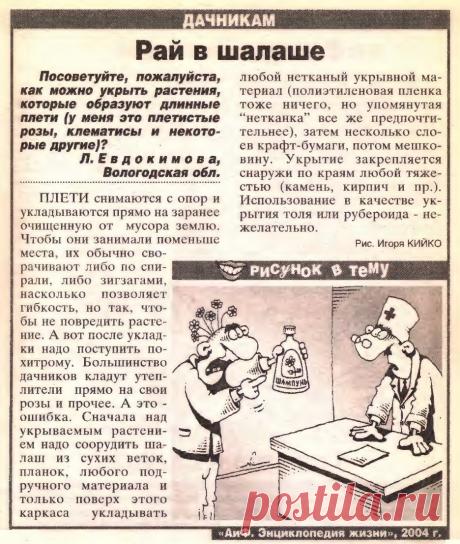 Как укрыть цветы у которых длинные плети