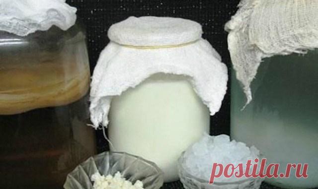 Чайный, молочный и рисовый гриб Читать далее...