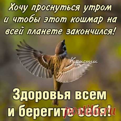 (3424) Pinterest