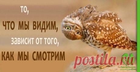 Зеланд о том, как не играть в чужую проблему: