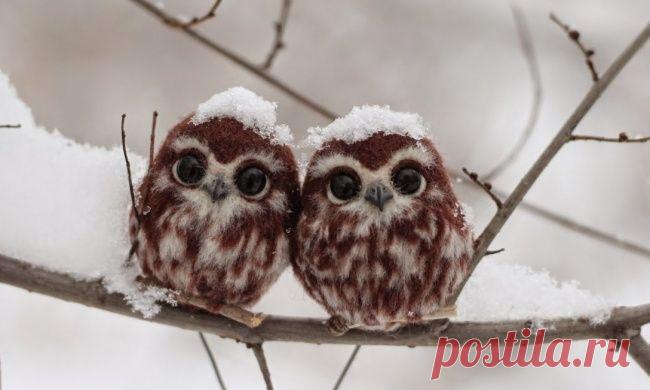 Готовьте запасные мимимиметры, эти детеныши зверей прекрасны / Surfingbird - мы делаем интернет лучше