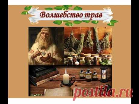 Очищение травами и зеленая кулинария | "Волшебство трав и тайны приправ" | Рецепты народной медицины