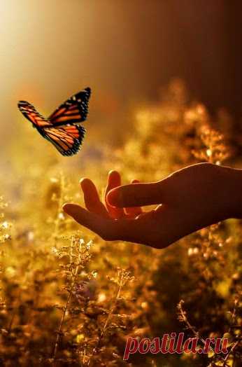 "Love is the most healing force in the world; nothing goes deeper than love. It heals not only the body, not only the mind, but also the soul." ~ O… | Pinteres…