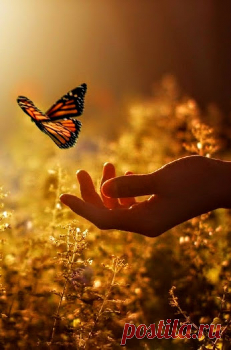 &quot;Love is the most healing force in the world; nothing goes deeper than love. It heals not only the body, not only the mind, but also the soul.&quot; ~ O… | Pinteres…