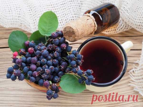 Компот из ирги на зиму — Домашняя кулинария
