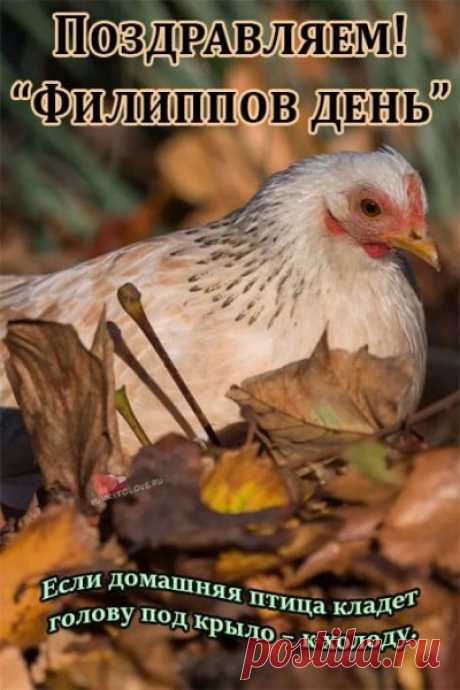 Яркого солнца на все времена,
Пусть твоя жизнь будет счастья полна,
Каждый свой день улыбаясь встречай,
И никогда не грусти, не скучай. Открытки на Филиппову Канитель.