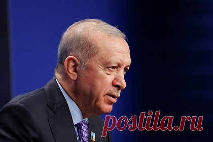 Эрдоган заявил о готовности Турции принять саммит лидеров по Украине