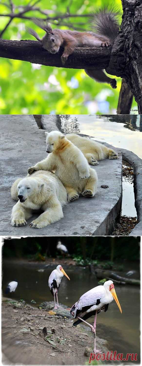 Нью-Йоркский Институт Фотографии (New York Institute of Photography): ИЗБРАННЫЕ УЧЕБНЫЕ ЭТЮДЫ СТУДЕНТОВ КУРСА NYIP (декабрь 2013, выпуск 17) &ndash; ФотоКто