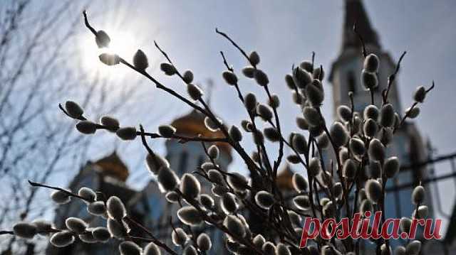 МОЛИТВА В ПАСХАЛЬНУЮ НОЧЬ, ЧТО ВЫЛЕЧИТ ЛЮБЫЕ БОЛЕЗНИ. ПРОВЕРЕНО!
Молитва-оберег от болезней  (нажмите 