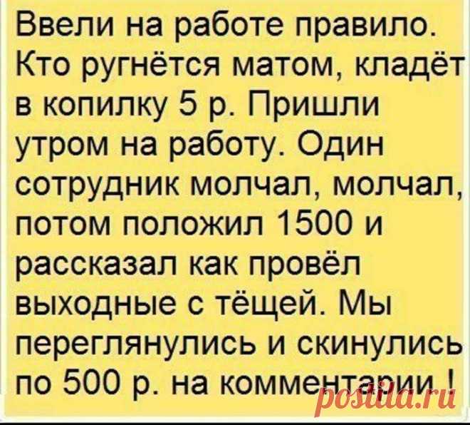 Истории и шутки для настроения
