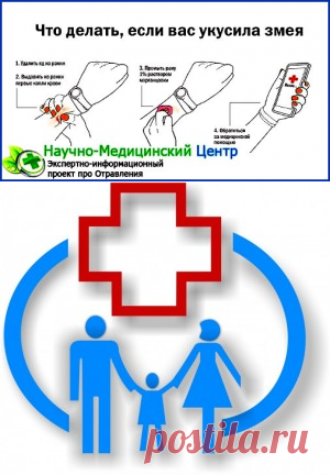 Очень интересные факты из  истории медицины, много полезных советов, консультации и статьи докторов на все случаи жизни. Более 50 статей каждый день! Приглашаем ознакомиться с самым крупным медицинским порталом в России.