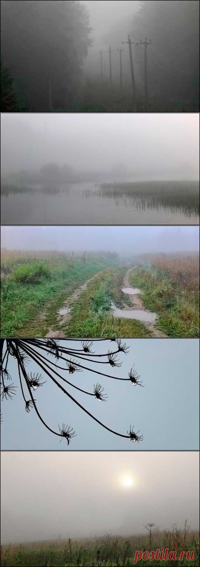 Вот и осень пришла...
