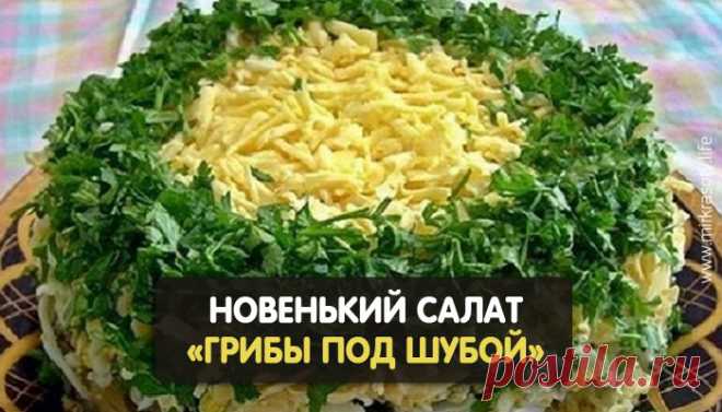 Салат «Грибы под шубой». Это что-то новое! Салат «Грибы под шубой» — новый, интересный, недорогой и очень аппетитный! Его главный ингредиент: грибочки, обжаренные с луком. Попробуйте, не пожалеете!