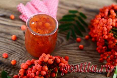 Лекарство, продукт и оберег: в чём польза рябины и какой сорт самый вкусный | Живая Еда с Сергеем Малозёмовым | Дзен