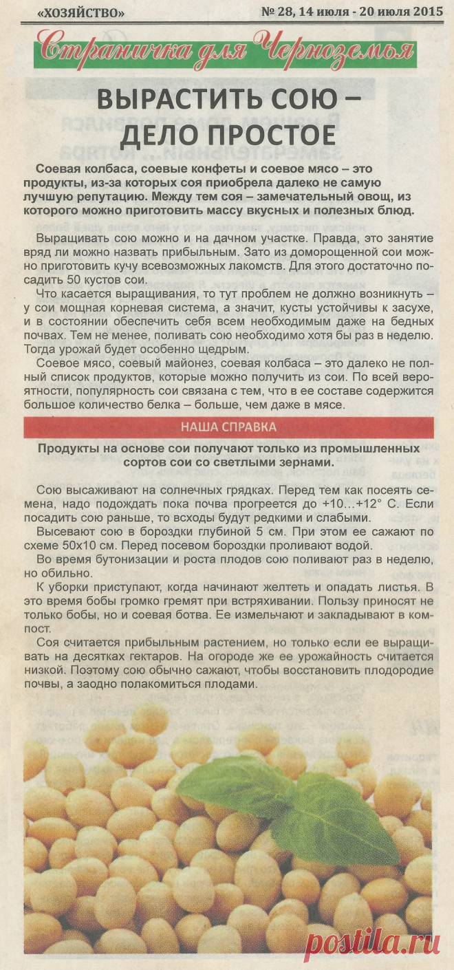 Вырастить сою - дело простое