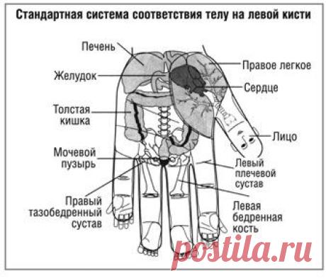 Сайт журнала Физкультура и Спорт
