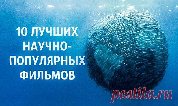 10 научно-популярных фильмов, которые помогут понять наш мир