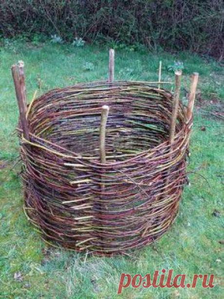 Катаракта глаза. Причины, симптомы, лечение катаракты народными средствами | Народная медицина