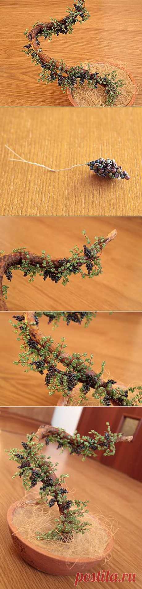 А давайте попробуем вырастить виноград?... - Ярмарка Мастеров - ручная работа, handmade