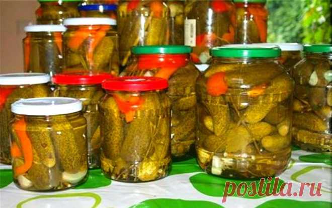 Огурцы, маринованные на зиму в банках: простые рецепты, как замариновать огурцы, фото и видео