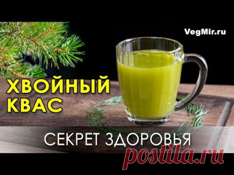 ХВОЙНЫЙ КВАС... СЕКРЕТ ОМОЛОЖЕНИЯ И ДОЛГОЛЕТИЯ..