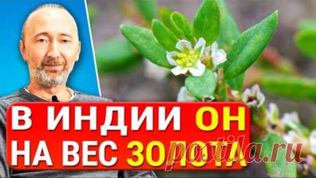 ОН растворяет камни в почках и печени. Лечит суставы, сосуды, легкие, фиброзы, цистит, туберкулёз!