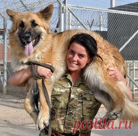 Новости - МирТесен