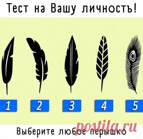 Перо 1
Мир и гармония вокруг вас, вы окружаете себя спокойными людьми. Вы благородная душа, которая любит помогать другим и никогда не отказывается предлагать руку помощи.

Вы относитесь к другим легко, но вы предпочитаете помогать людям, подобным вам. Некоторые люди могут думать, что вы слабы, но, правда в том, что вы просто очень добры. Ваше дружелюбие и надежность — причина, по которой у вас много друзей.