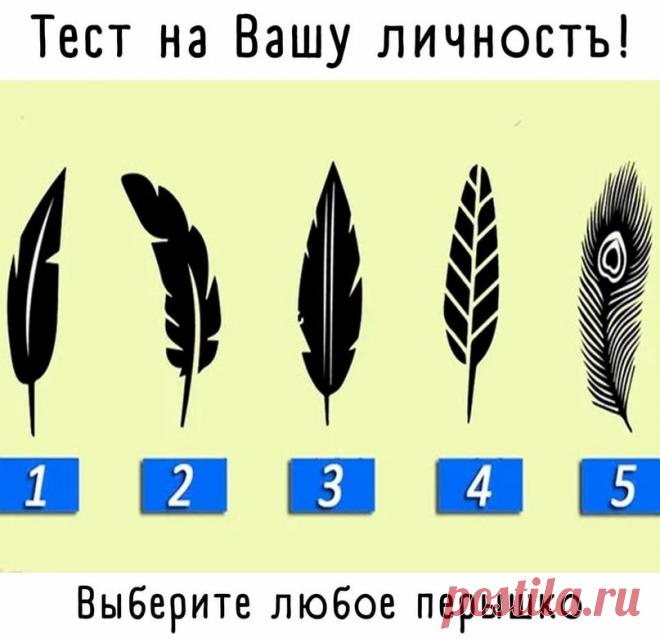 Перо 1
Мир и гармония вокруг вас, вы окружаете себя спокойными людьми. Вы благородная душа, которая любит помогать другим и никогда не отказывается предлагать руку помощи.

Вы относитесь к другим легко, но вы предпочитаете помогать людям, подобным вам. Некоторые люди могут думать, что вы слабы, но, правда в том, что вы просто очень добры. Ваше дружелюбие и надежность — причина, по которой у вас много друзей.