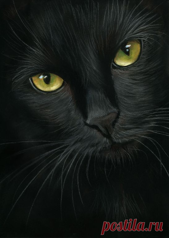 Пин содержит это изображение: black cat portrait- pastel painting by art-it-art on DeviantArt