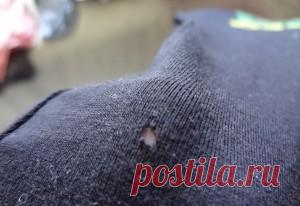 Эфирные масла против моли | Для дома | Само Совершенство