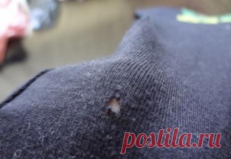 Эфирные масла против моли | Для дома | Само Совершенство