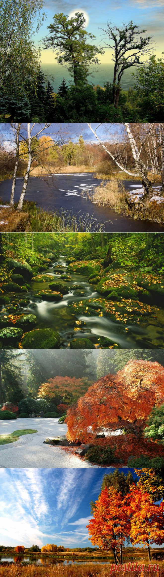 Я ОСЕНЬ СОБЕРУ В ЛАДОНИ...