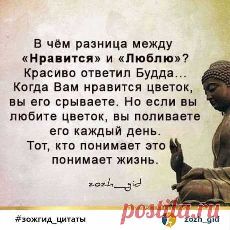 Золотые слова...
⠀
Друзья, кому не сложно, оставьте 1 смайлик 🌹🥰🌺🌷🌼🌻😊 в коментариях, чтобы я вас всех видела 😘
⠀
Спасибо за лайк ❤ и комментарий 🌹 ⠀
Сохраняй в закладки 📥
⠀
Если ты еще не с нами, то скорее подписывайся 👇
@zozh_gid
@zozh_gid
@zozh_gid
---
#зож_гид
#зожгид_цитаты
#зожгид