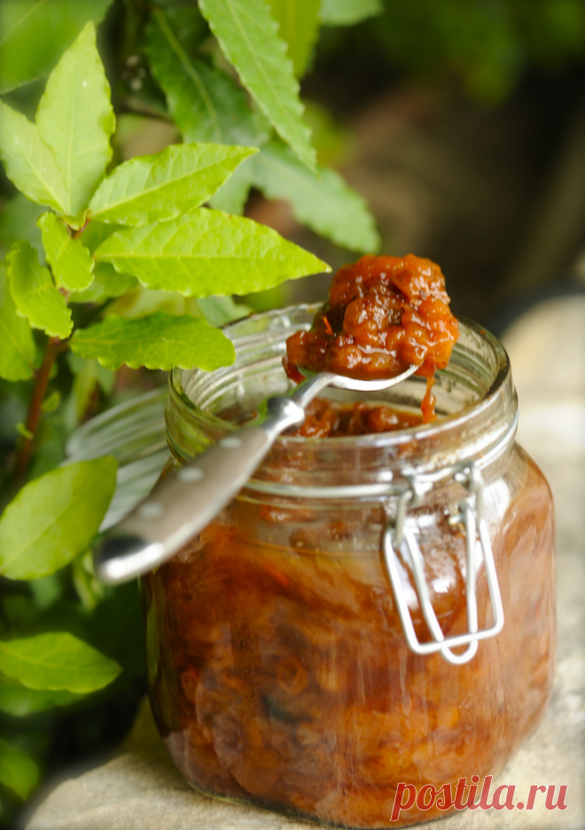 Сливовый чатни - Ника Белоцерковская