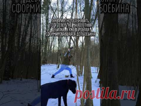 Девочка выросла 😄#юмор #собака #лабрадор #собаководы #полимернаямама