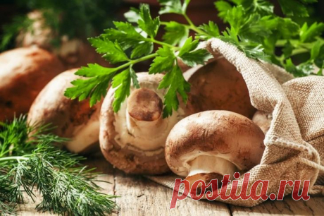 15 продуктов, которые смело можно есть на ночь: выводы ученых