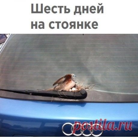 Оп-па!