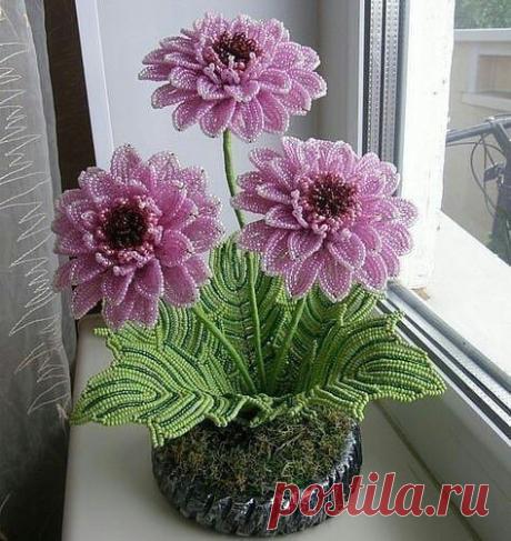 Интересные новости