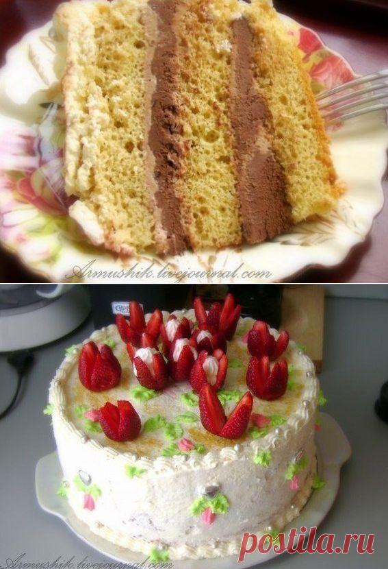 Как приготовить высокий, нежный бисквит для торта (без духовки) - , ингридиенты и фотографии