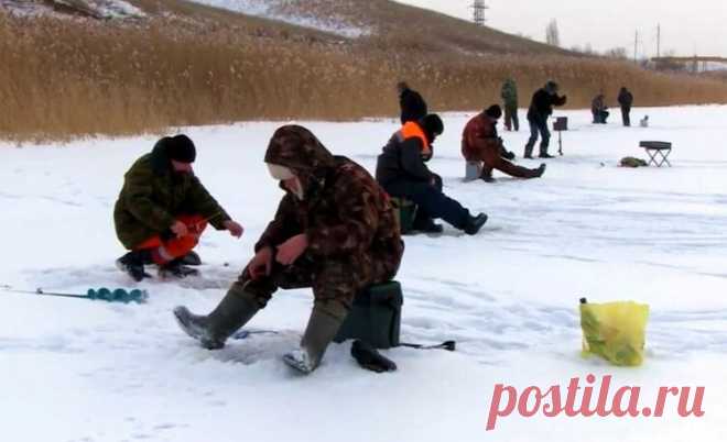 «Тандем» в февральской лунке – простейший приём для глухозимья | Рыбалка для людей | Яндекс Дзен