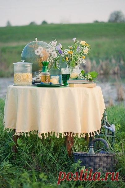 Весенние пикники прекрасны / Воркаут как образ жизни