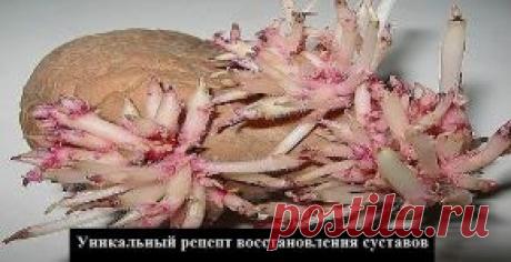♥Папа, мама, я - здоровая семья♥: Уникальный рецепт восстановления суставов. Моя мама очень долго мучилась болью в коленях! Бывали такие дни, что она не могла встать на ноги...