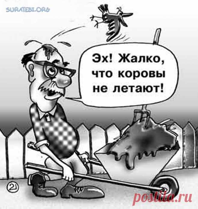 Шутки огородников — 6 соток