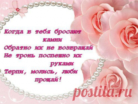 Мои закладки