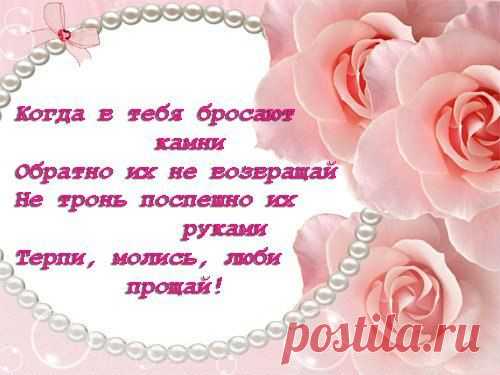 Мои закладки